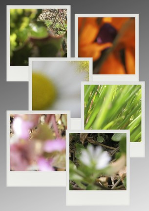 Frühling
